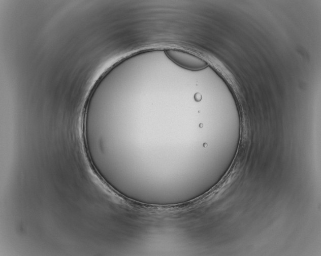 X0000113340958200909151003