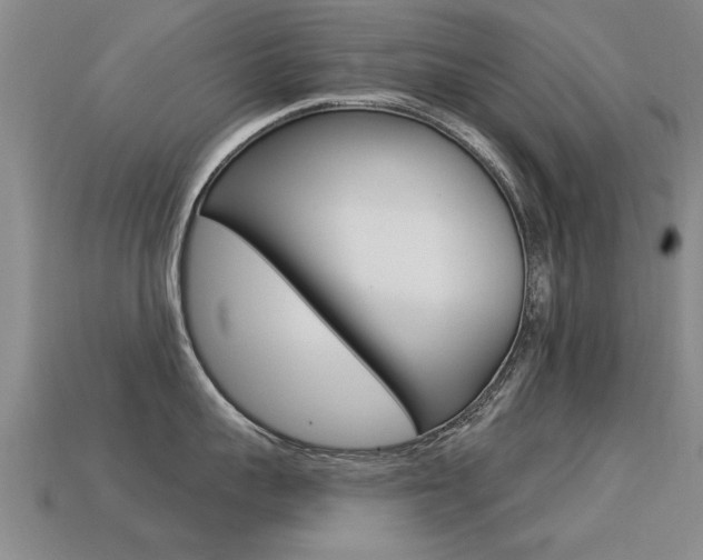 X0000113340959200909151003
