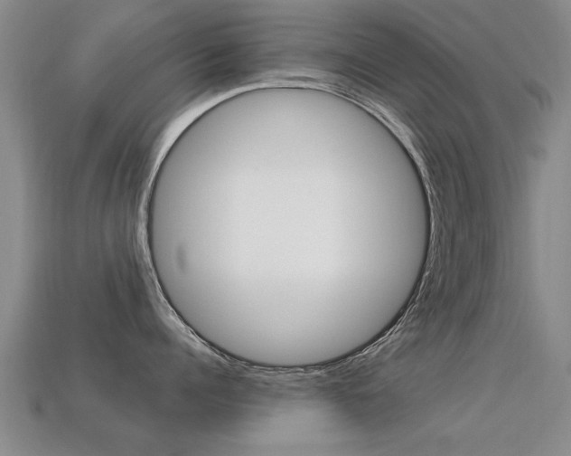 X0000113340960200909151003