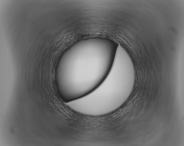 X0000113340961200909151002