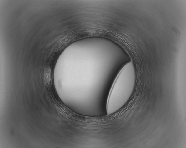 X0000113340963200909151002