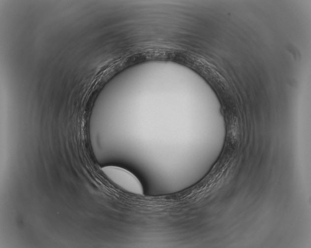X0000113340964200909151002