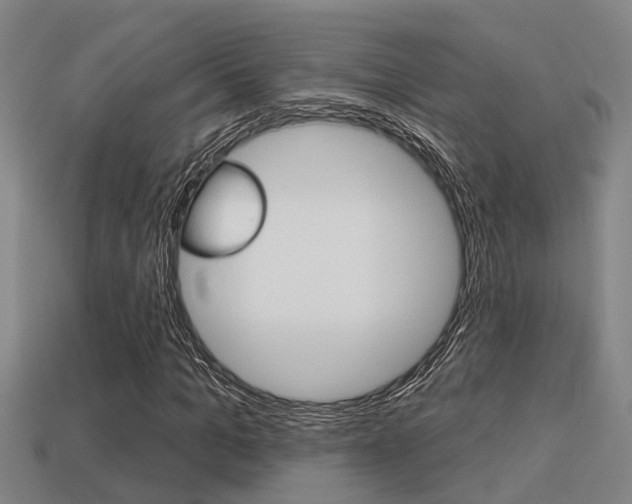 X0000113340965200909151002