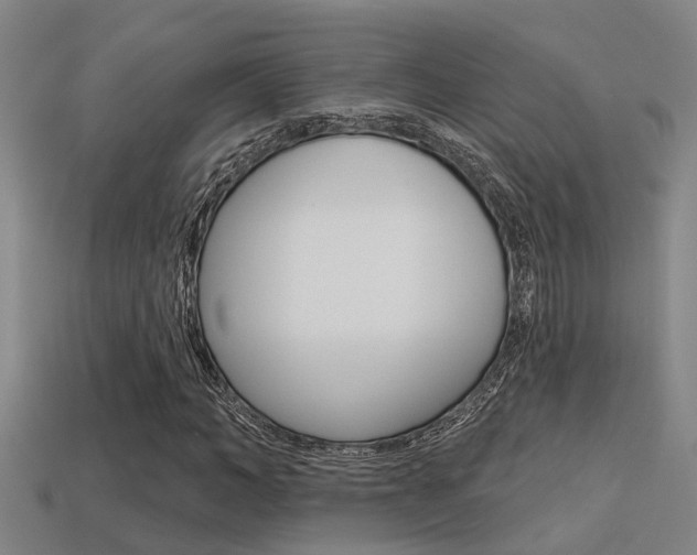 X0000113340966200909151002