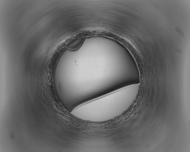 X0000113340967200909151002