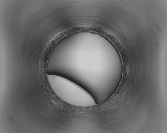 X0000113340968200909151002