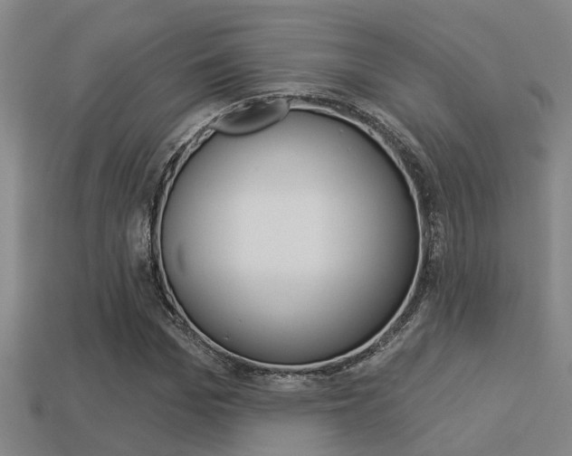 X0000113340969200909151002