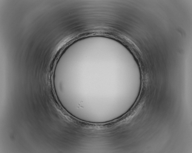 X0000113340970200909151002