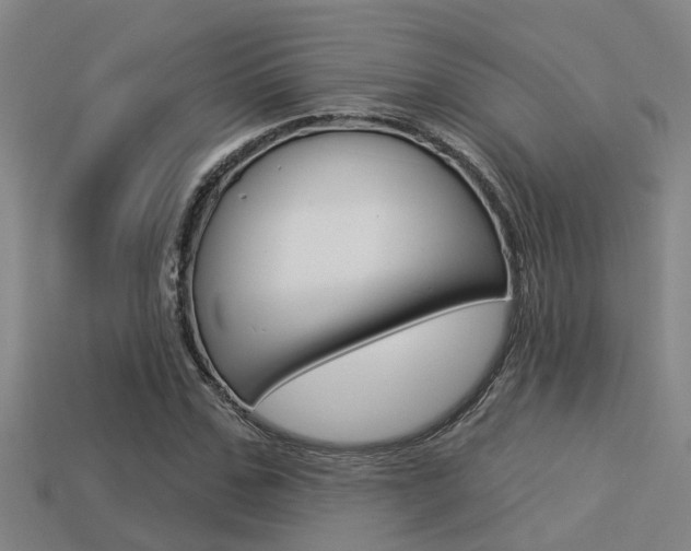 X0000113340971200909151002