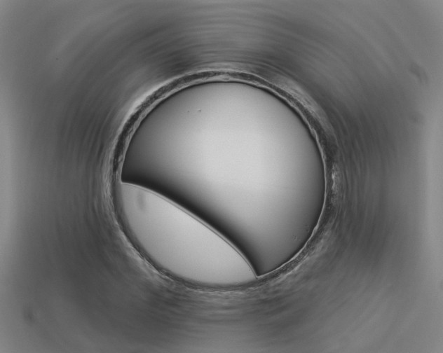 X0000113340972200909151002