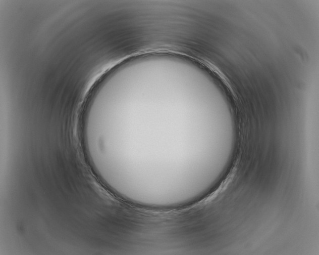 X0000113340973200909151002