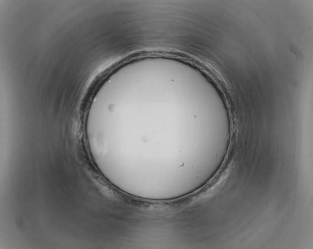 X0000113340974200909151002