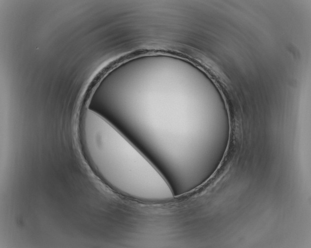X0000113340976200909151002