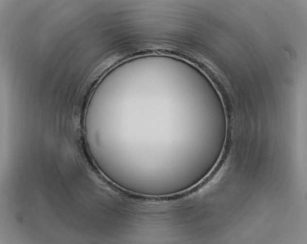 X0000113340977200909151002