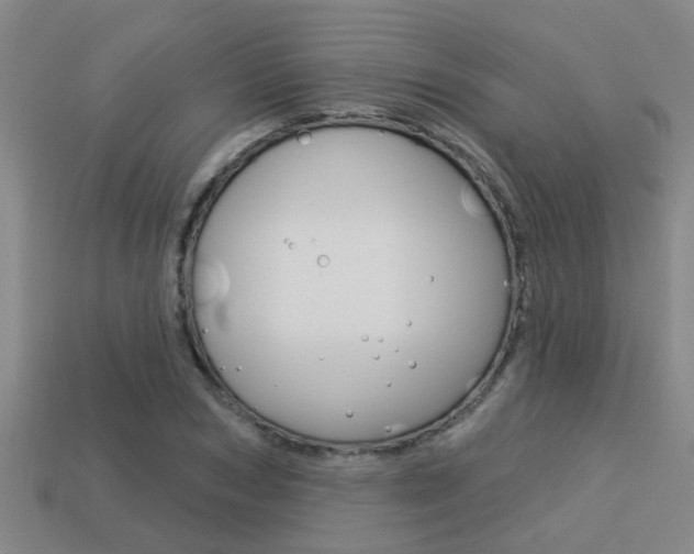 X0000113340978200909151002