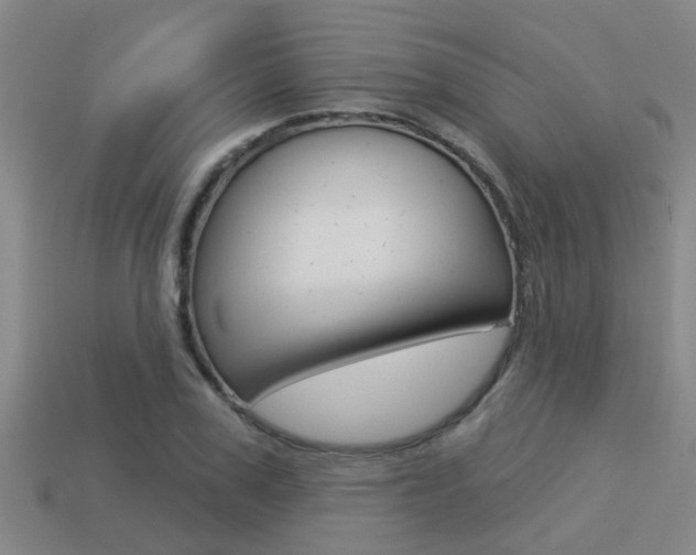X0000113340979200909151002