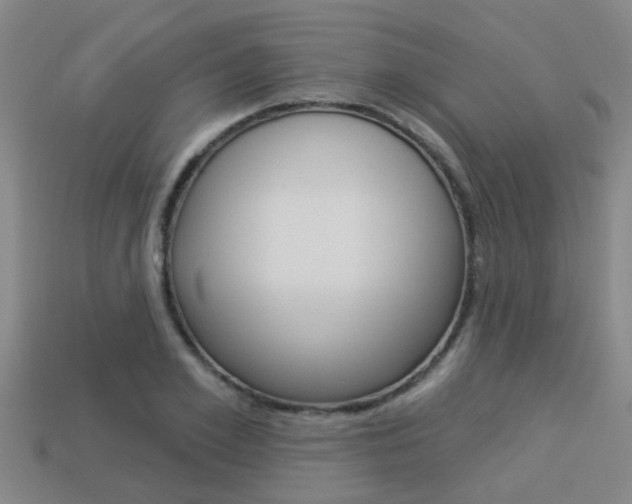 X0000113340981200909151002