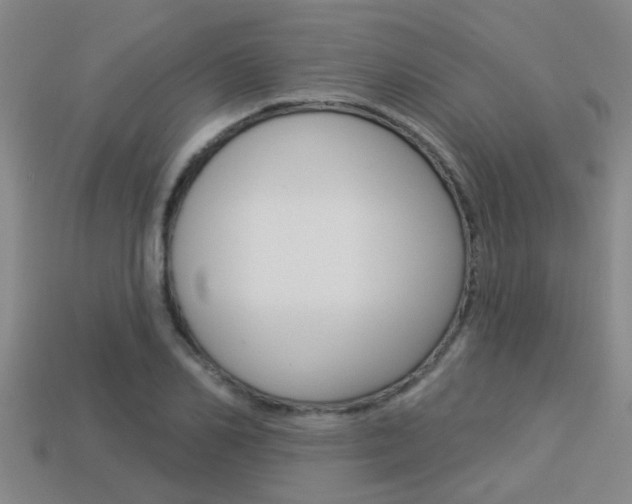 X0000113340982200909151002
