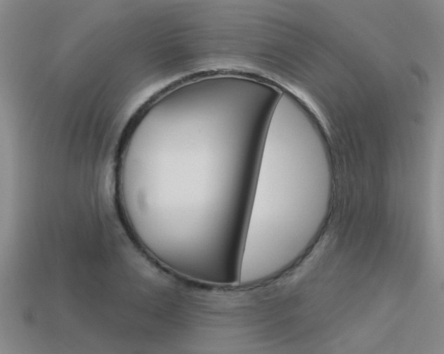 X0000113340983200909151002