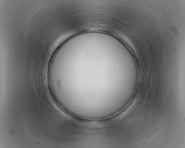 X0000113340986200909151002