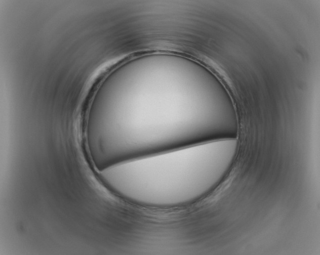 X0000113340987200909151002