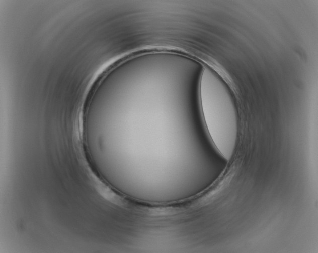 X0000113340988200909151002