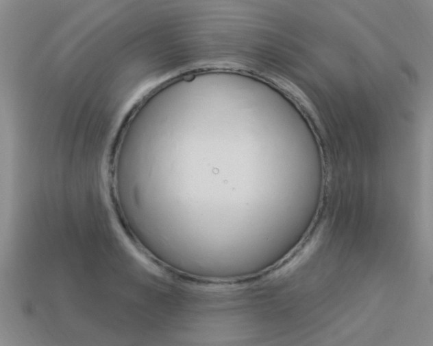 X0000113340989200909151002