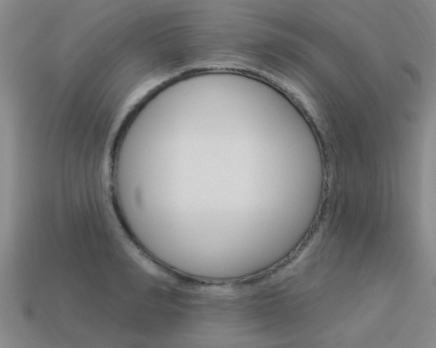 X0000113340990200909151002