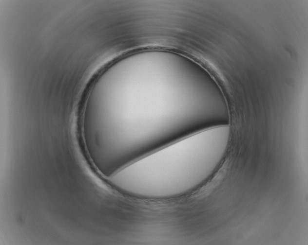 X0000113340991200909151002