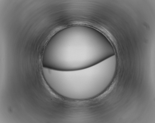 X0000113340993200909151001
