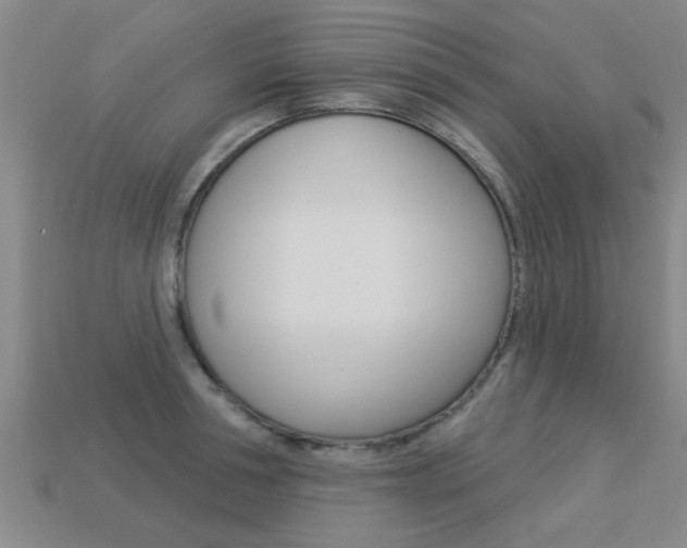 X0000113340994200909151001