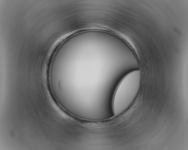 X0000113340995200909151001