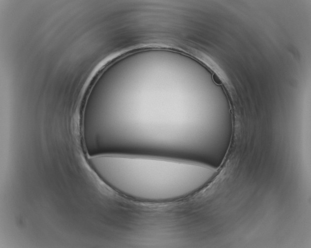 X0000113340996200909151001
