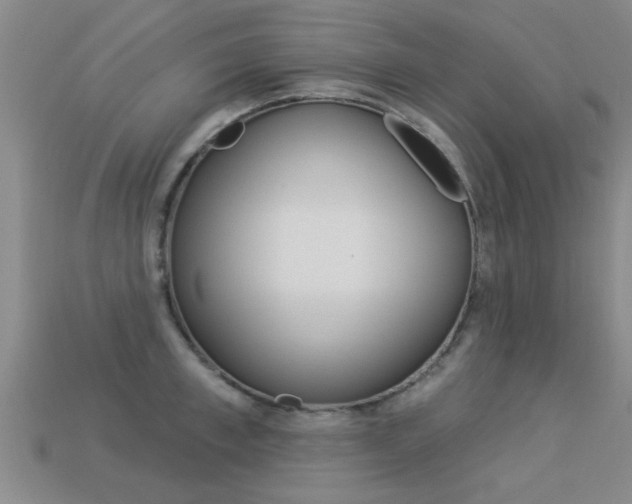 X0000113340997200909151001