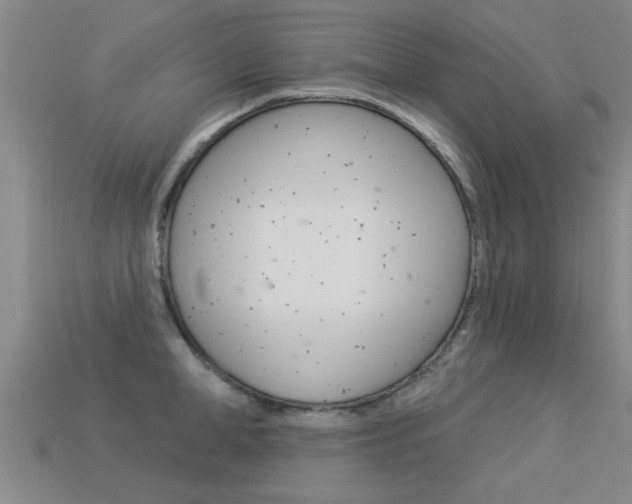 X0000113340998200909151001