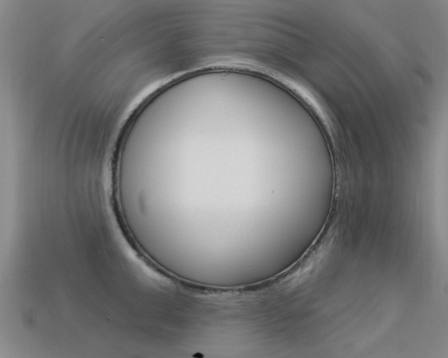 X0000113340999200909151001