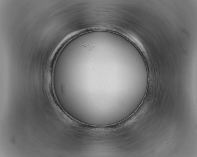 X0000113341000200909151001