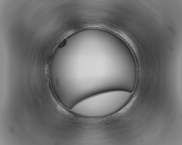 X0000113341001200909151001