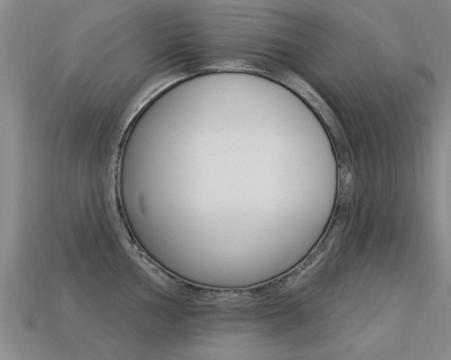 X0000113341002200909151001