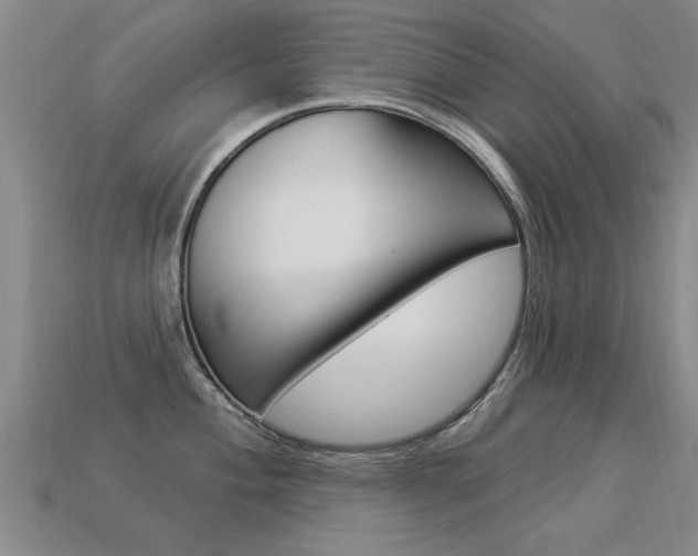 X0000113341004200909151001