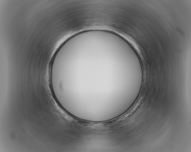 X0000113341006200909151001