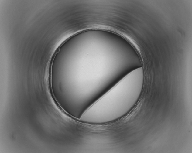 X0000113341007200909151001