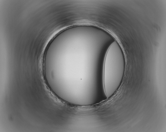 X0000113341008200909151001