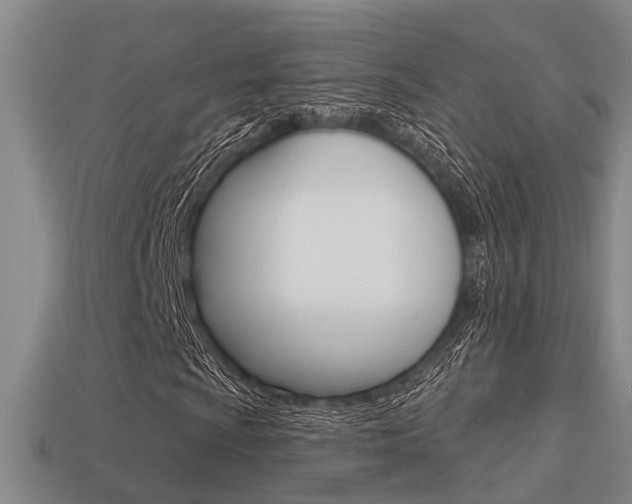 X0000113341009200909151001