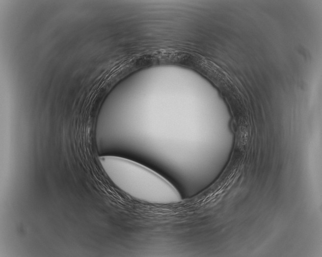 X0000113341010200909151001