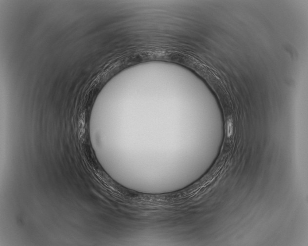 X0000113341011200909151001