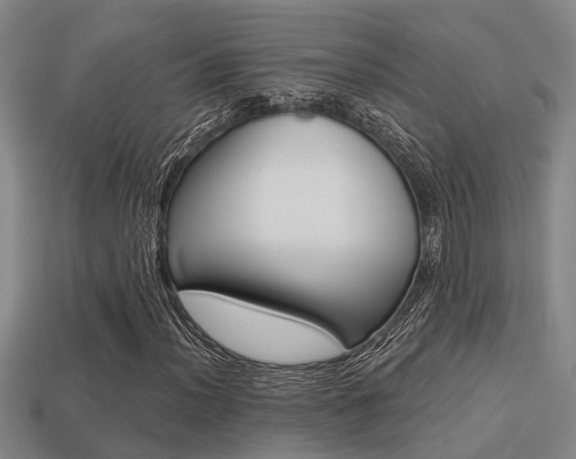 X0000113341012200909151001