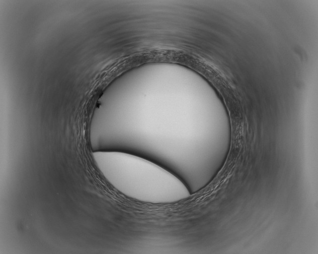 X0000113341013200909151001