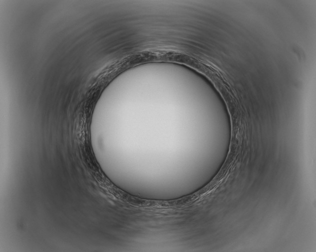 X0000113341014200909151001