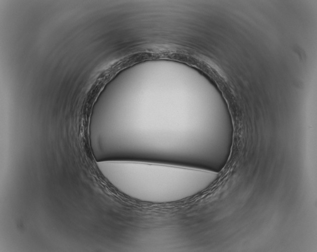 X0000113341016200909151001